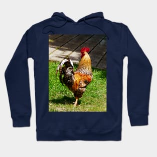 Chickens - Strutting Rooster Hoodie